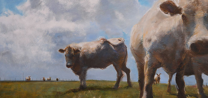 Bo Tan | Cattle Under the Sun