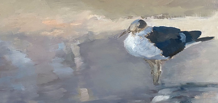 Sylvia Benitez | Gull | Oil on Plank