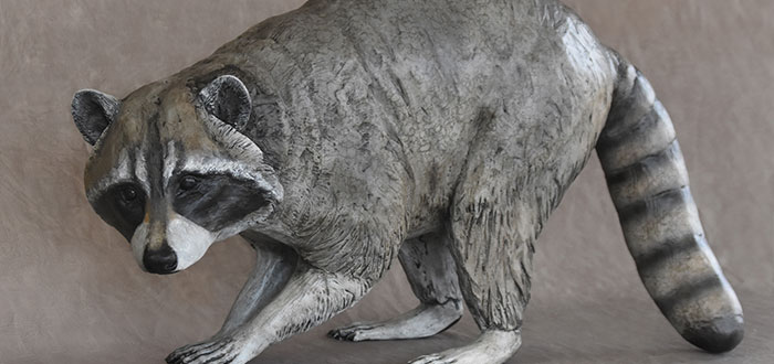 Jim-Eppler-Raccoon