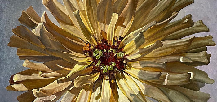 Karen-Dreyer_Yellow-Cactus-Zinnia