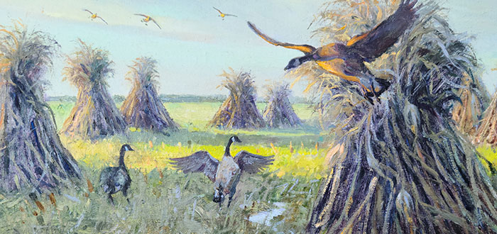 RichardThompson_Corn-Field-Stopover