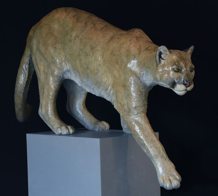 Jim-Eppler_Cougar-Life
