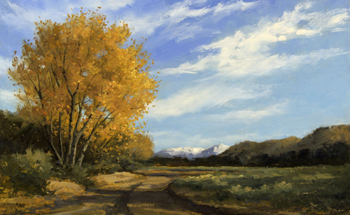 Peggy-Immel_Up-a-Dry-Creek-Bed