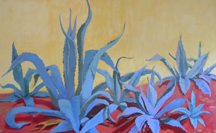 Vikki-Fields_Agave-on-Yellow