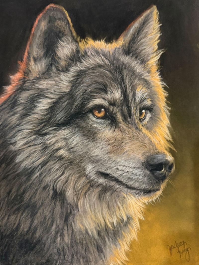 long-zachary-timber-26
